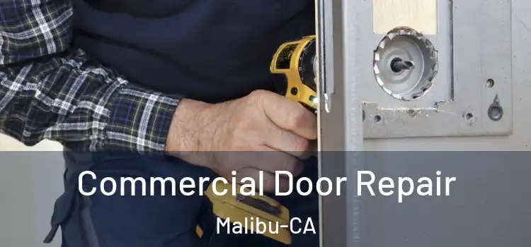  Commercial Door Repair Malibu-CA