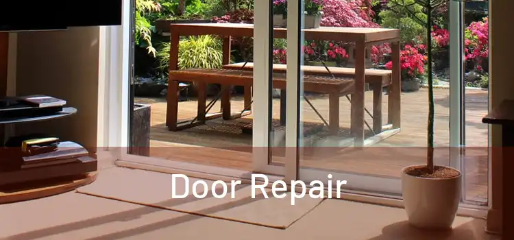 Door Repair
