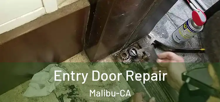  Entry Door Repair Malibu-CA